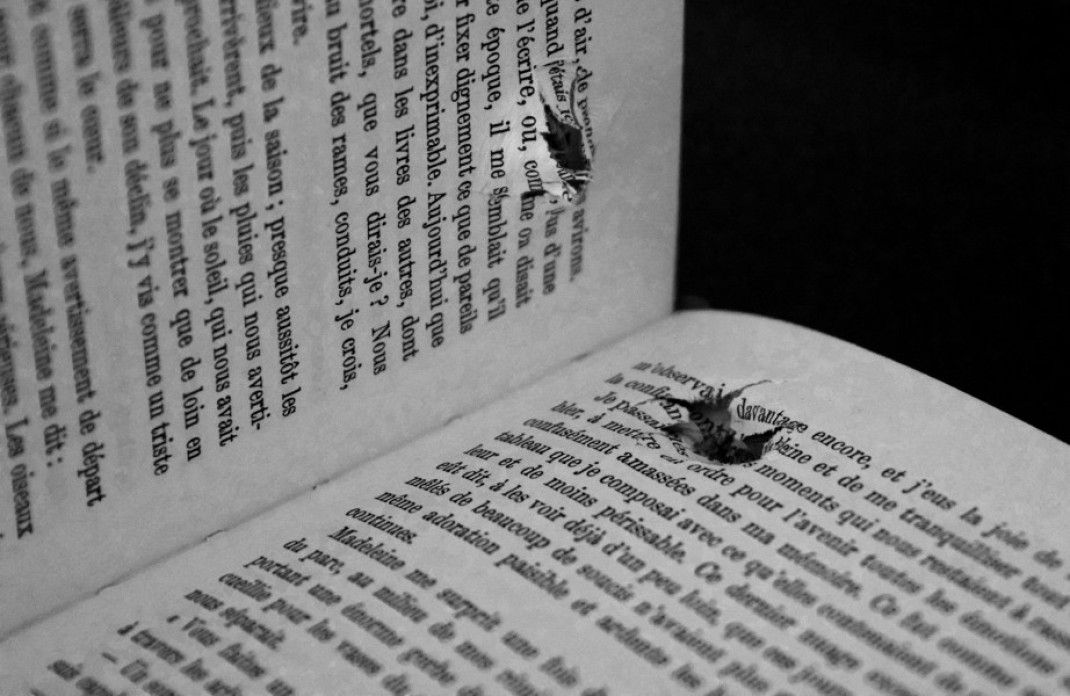 Black &amp; White image of a book with torn pages